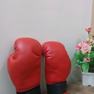 Boxing Gloves For Men & Women