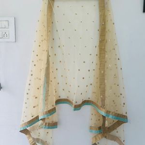 Banarasi Gown