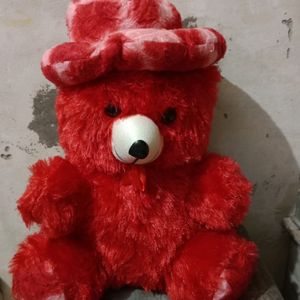 Teddy