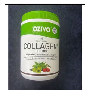 Collagen 250 Gms