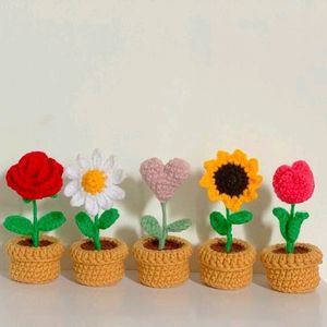 Crochet Tulip Flower's