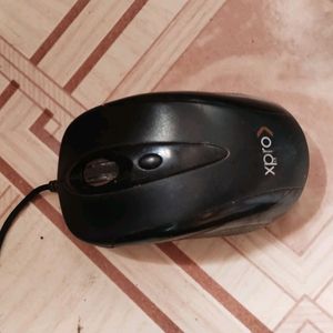 Mouse For Computer.