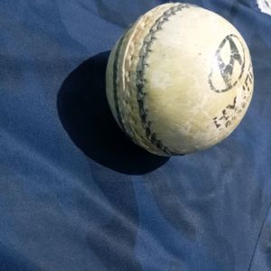 Cricket Ball Of 2011 World Cup