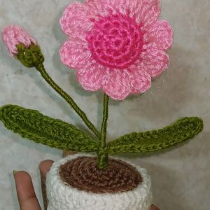 Crochet Flower Pot