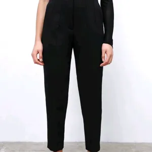 Zara High Waisted Pleated Pants