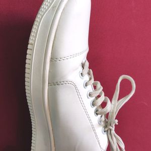 White Sneakers | Uk 9 (27 cm)