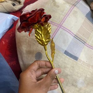 Valentine Rose