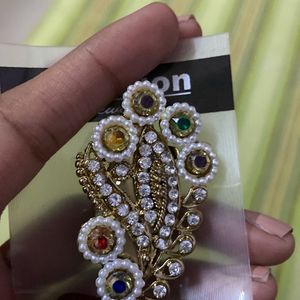 Beautiful Saree Pin