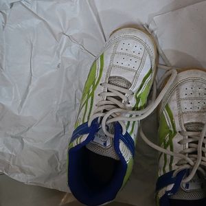 Branded Sports Shoes