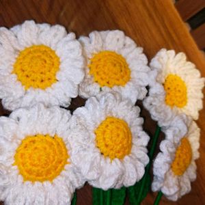 Pack Of 6 Crochet Daisies