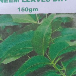 Neem Leaves Dry