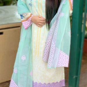 Rungrez Embroidered Lawn Suit