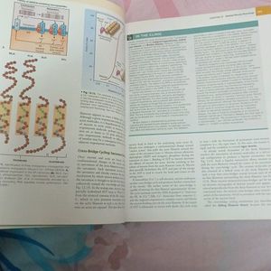 Physiology Textbook