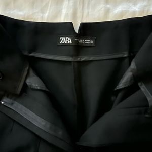 Zara Pleated Pinteresty Trouser