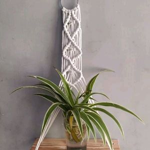 Combo Of 2 Macrame Wall Hanging