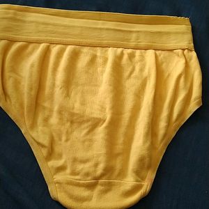 Tummy Shaper Medium Sized panties