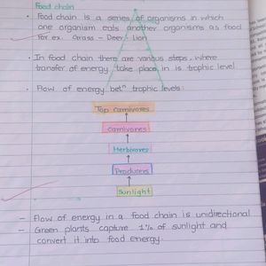 My Notes Class 10th Light Electricity Life Process