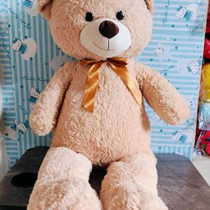 New Teddy Bear