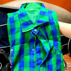 Green Check Shirt