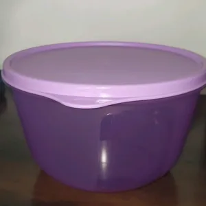 2ltr Bowl Purple