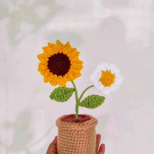 Crochet 🌻 & Daisy Flower Pot