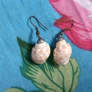 Real Shell Earrings 🐚🐌