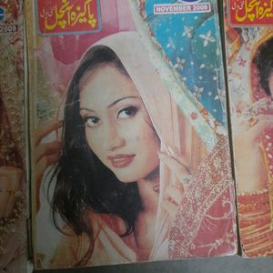 Urdu Novel