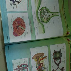 Biology Book Gujrati