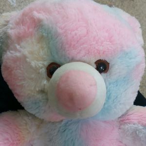 Cute Multi Color Teddy With Hanging Rope