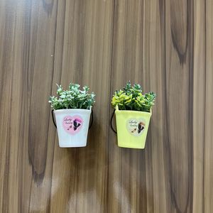 Pack Of 2 Planters Fridge Magnet