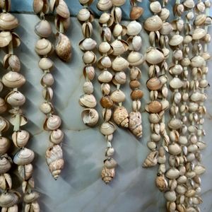 ❣️ Wall Hanging Sea Shell 🐚