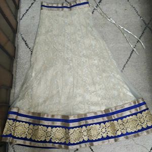 Navey Blue Gorgette Lenga