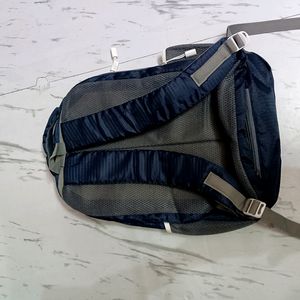 Skybags Branded Big Size Backpack