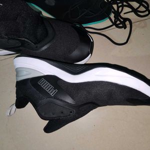 Puma Gym Trainer