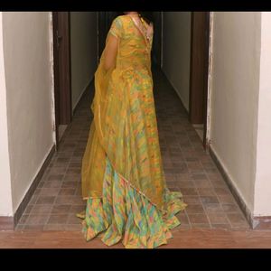 Organza Lehnga Choli/Traditional/Ethnic