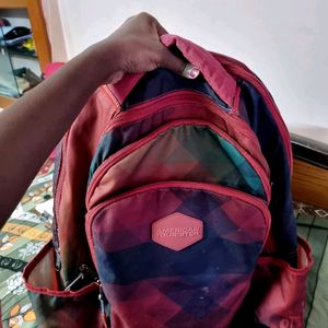 American Tourister Multicolor Back Pack