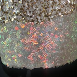 Eleganr Sequin Dress