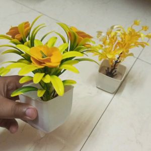 Artificial Plants 3+1free