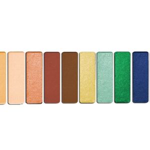 Wet n Wild Color Icon Eyeshadow 10 Pan Palette