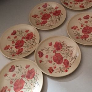 Plate Set Of 6