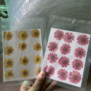 Pressed Daisy Sheets (new)