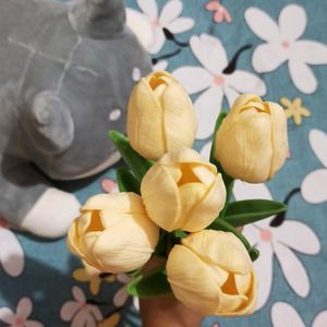 Tulip Flower Ivory Color