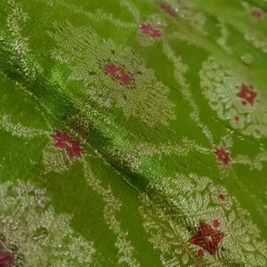 Kataan Green Saree