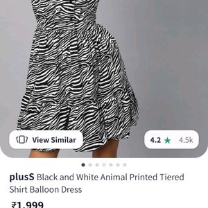 Zebra Print Dress💫
