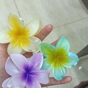 Flower Clips