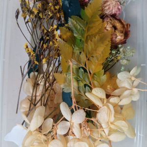 Dried Flowers for Art Work