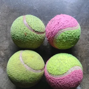 04 Cricket/Tennis Balls..