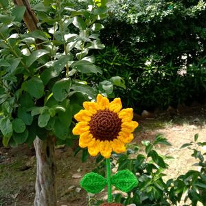 Crochet Sunflower Pot🌻