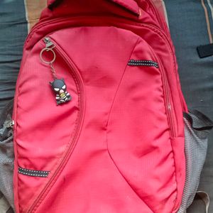 School/ College Bag