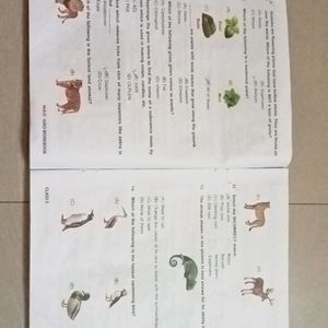 IGKO Olympiad Book For Class 3